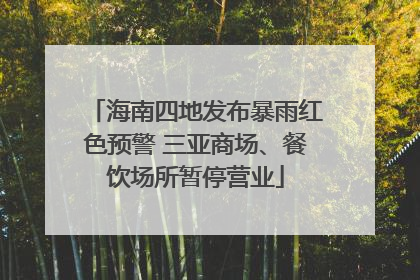 海南四地发布暴雨红色预警 三亚商场、餐饮场所暂停营业