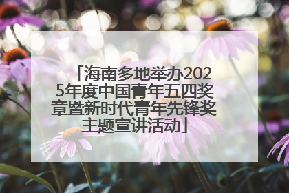 海南多地举办2025年度中国青年五四奖章暨新时代青年先锋奖主题宣讲活动