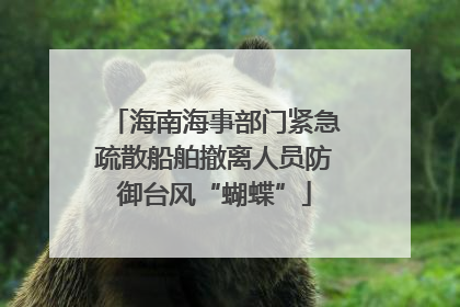 海南海事部门紧急疏散船舶撤离人员防御台风“蝴蝶”
