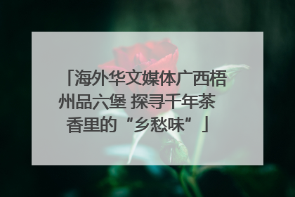海外华文媒体广西梧州品六堡 探寻千年茶香里的“乡愁味”
