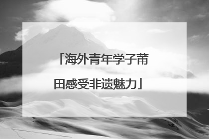 海外青年学子莆田感受非遗魅力