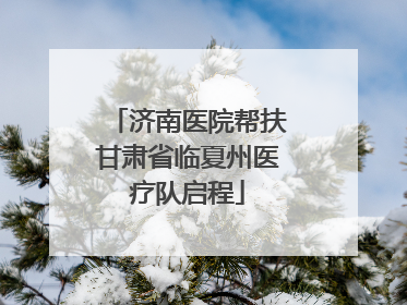 济南医院帮扶甘肃省临夏州医疗队启程