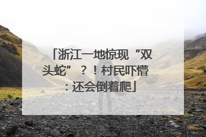 浙江一地惊现“双头蛇”？！村民吓懵：还会倒着爬