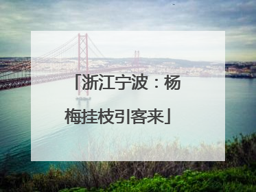 浙江宁波：杨梅挂枝引客来