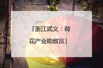 浙江武义：荷花产业助致富