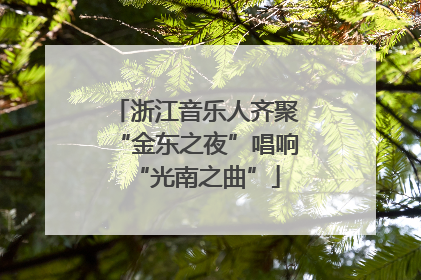 浙江音乐人齐聚“金东之夜”唱响“光南之曲”