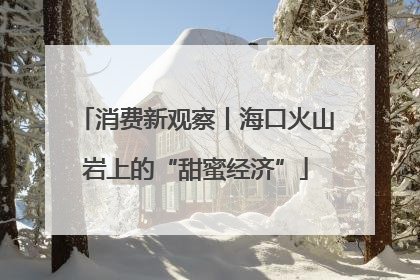 消费新观察丨海口火山岩上的“甜蜜经济”