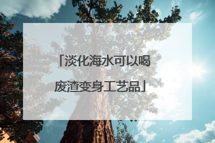 淡化海水可以喝 废渣变身工艺品
