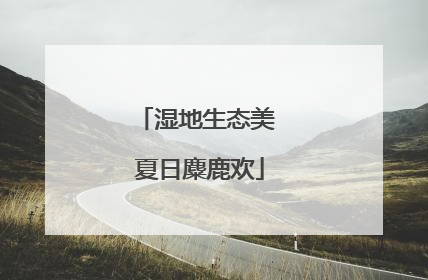 湿地生态美 夏日麋鹿欢