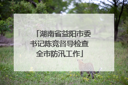 湖南省益阳市委书记陈竞督导检查全市防汛工作