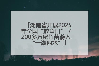 湖南省开展2025年全国“放鱼日” 7200多万尾鱼苗游入“一湖四水”