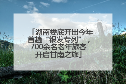 湖南娄底开出今年首趟“银发专列”，700余名老年旅客开启甘南之旅