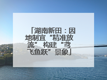 湖南新田：因地制宜“精准放流” 构建“鸢飞鱼跃”景象