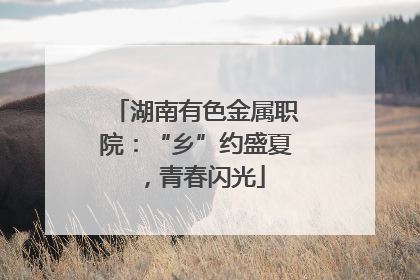 湖南有色金属职院：“乡”约盛夏，青春闪光