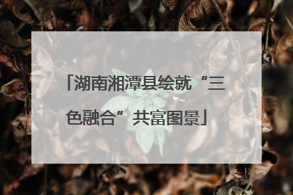 湖南湘潭县绘就“三色融合”共富图景