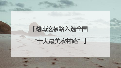 湖南这条路入选全国“十大最美农村路”