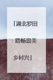 湖北罗田：路畅景美乡村兴