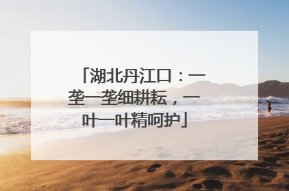 湖北丹江口：一垄一垄细耕耘，一叶一叶精呵护