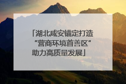 湖北咸安锚定打造“营商环境首善区”助力高质量发展