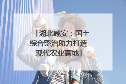 湖北咸安：国土综合整治助力打造现代农业高地
