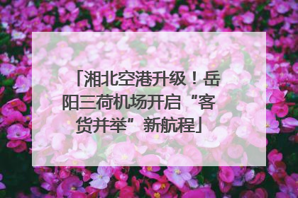 湘北空港升级！岳阳三荷机场开启“客货并举”新航程