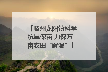 滕州龙阳镇科学抗旱保苗 力保万亩农田“解渴”