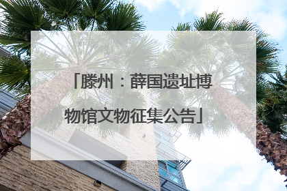 滕州：薛国遗址博物馆文物征集公告