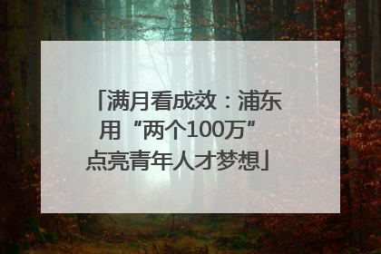 满月看成效：浦东用“两个100万”点亮青年人才梦想