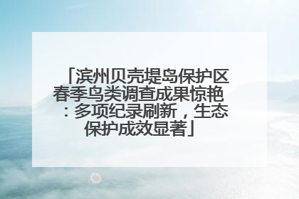 滨州贝壳堤岛保护区春季鸟类调查成果惊艳：多项纪录刷新，生态保护成效显著