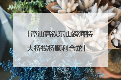 漳汕高铁东山跨海特大桥栈桥顺利合龙