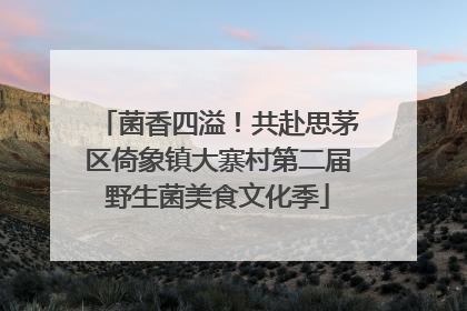 菌香四溢！共赴思茅区倚象镇大寨村第二届野生菌美食文化季