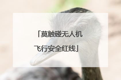 莫触碰无人机飞行安全红线