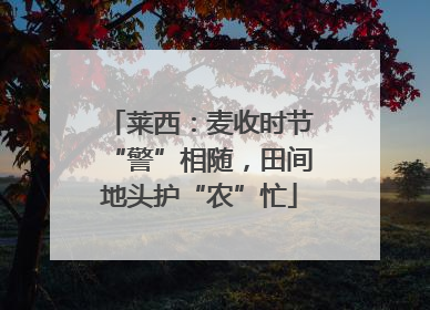 莱西：麦收时节“警”相随，田间地头护“农”忙