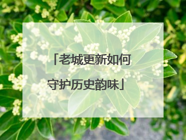 老城更新如何守护历史韵味