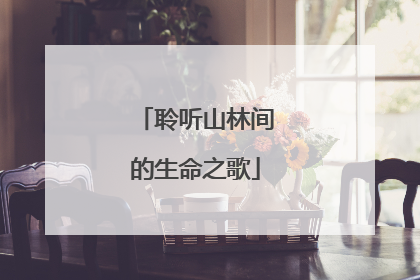 聆听山林间的生命之歌