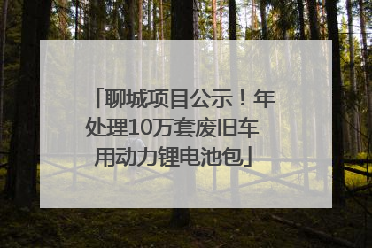聊城项目公示！年处理10万套废旧车用动力锂电池包