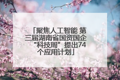 聚焦人工智能 第三届湖南省国资国企“科技周”提出74个应用计划