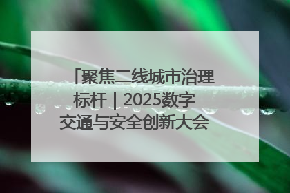 聚焦二线城市治理标杆｜2025数字交通与安全创新大会在保定隆重开幕