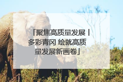 聚焦高质量发展丨多彩青冈 绘就高质量发展新画卷