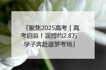 聚焦2025高考｜高考启幕！淄博约2.8万学子奔赴逐梦考场