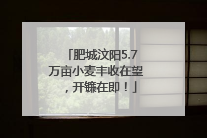 肥城汶阳5.7万亩小麦丰收在望，开镰在即！