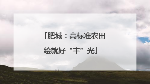 肥城：高标准农田绘就好“丰”光