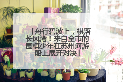 舟行碧波上，棋落长风湾！来自全市的围棋少年在苏州河游船上展开对决