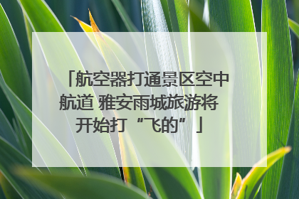 航空器打通景区空中航道 雅安雨城旅游将开始打“飞的”