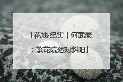 花地·纪实｜何武豪：繁花院落对斜阳