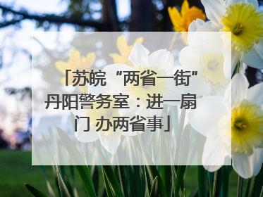 苏皖“两省一街”丹阳警务室：进一扇门 办两省事
