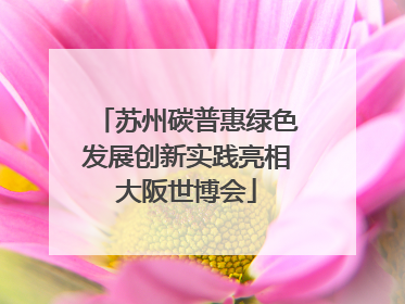 苏州碳普惠绿色发展创新实践亮相大阪世博会