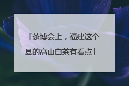 茶博会上，福建这个县的高山白茶有看点