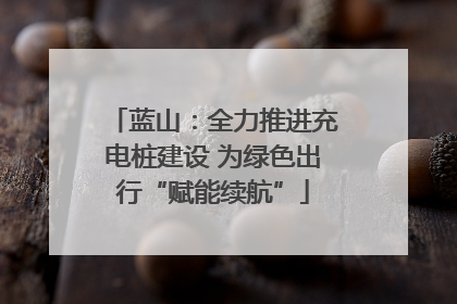 蓝山：全力推进充电桩建设 为绿色出行“赋能续航”
