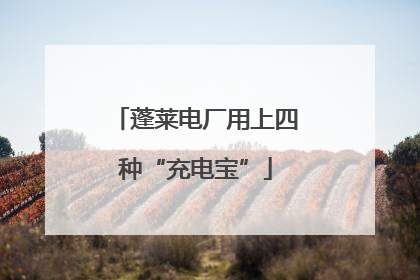 蓬莱电厂用上四种“充电宝”